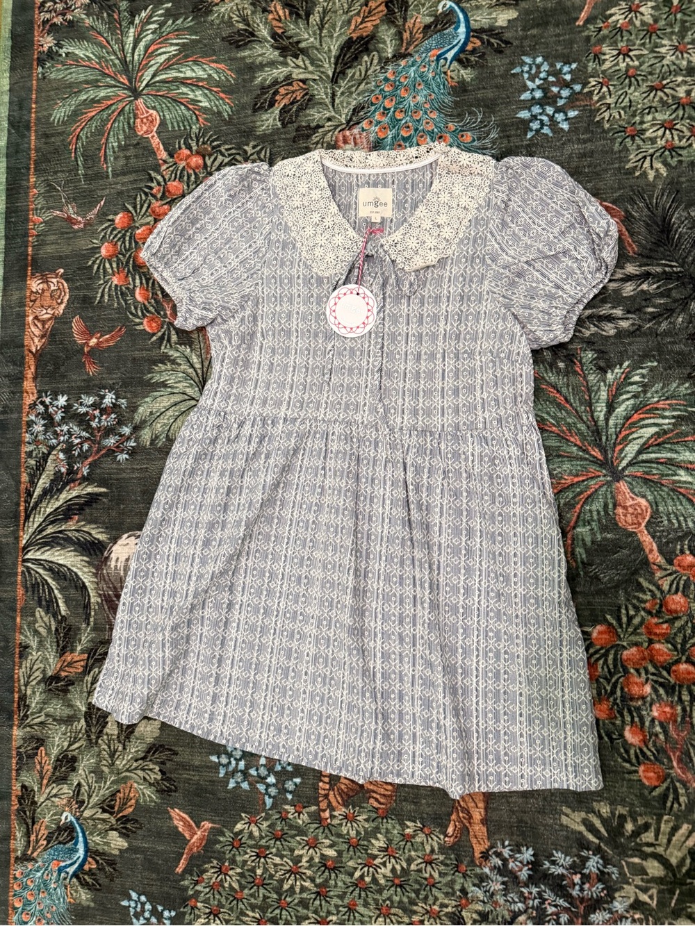 Umgee Light Blue Printed Dress with Lace Collar